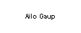 Text Box: Ailo Gaup
